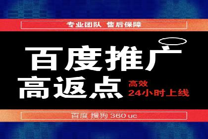 某行业sem竞价托管成功案例：精准投放的秘诀